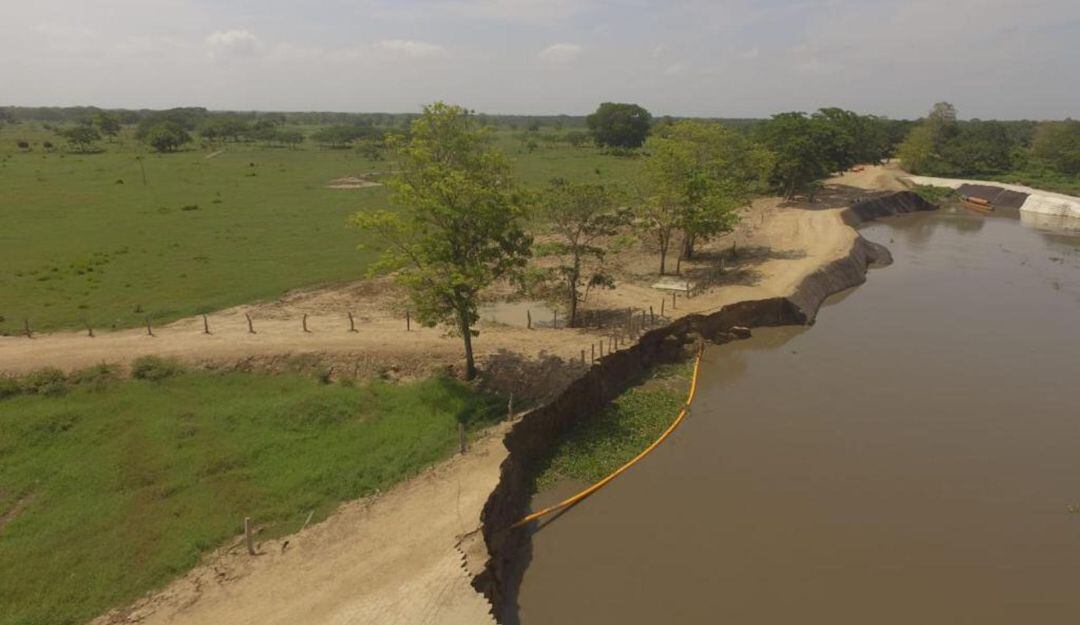 Salamina - El Piñón