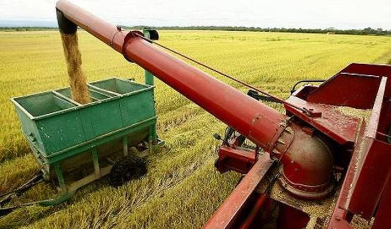 Molinos de arroz
