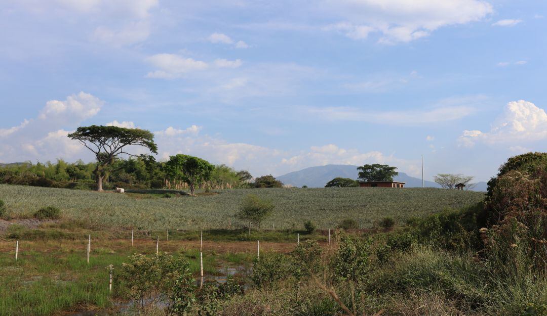 Tierras