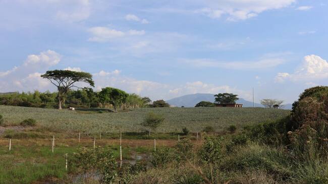 Tierras