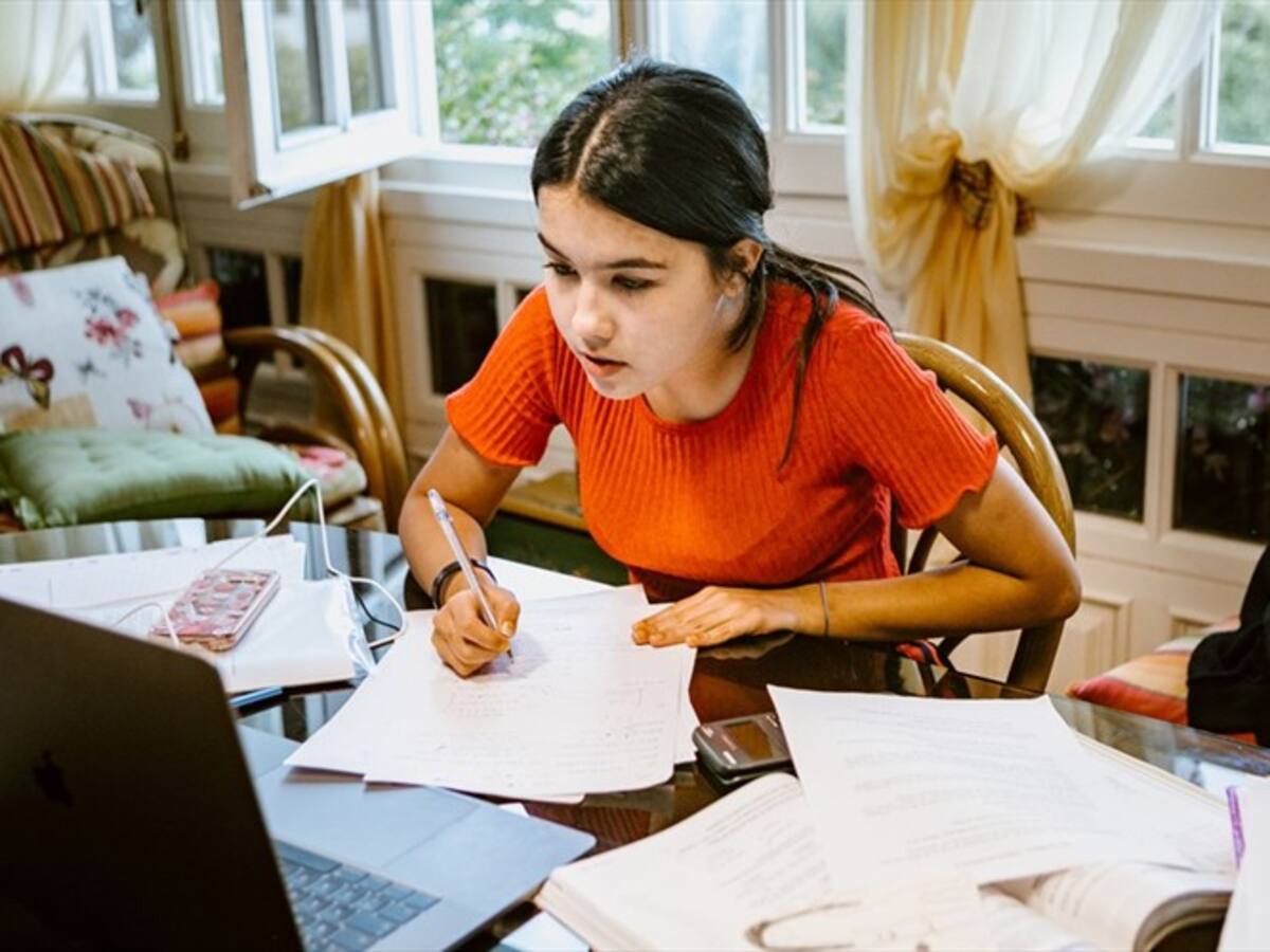 Autoaprendizaje: uno de los mayores retos de las clases virtuales