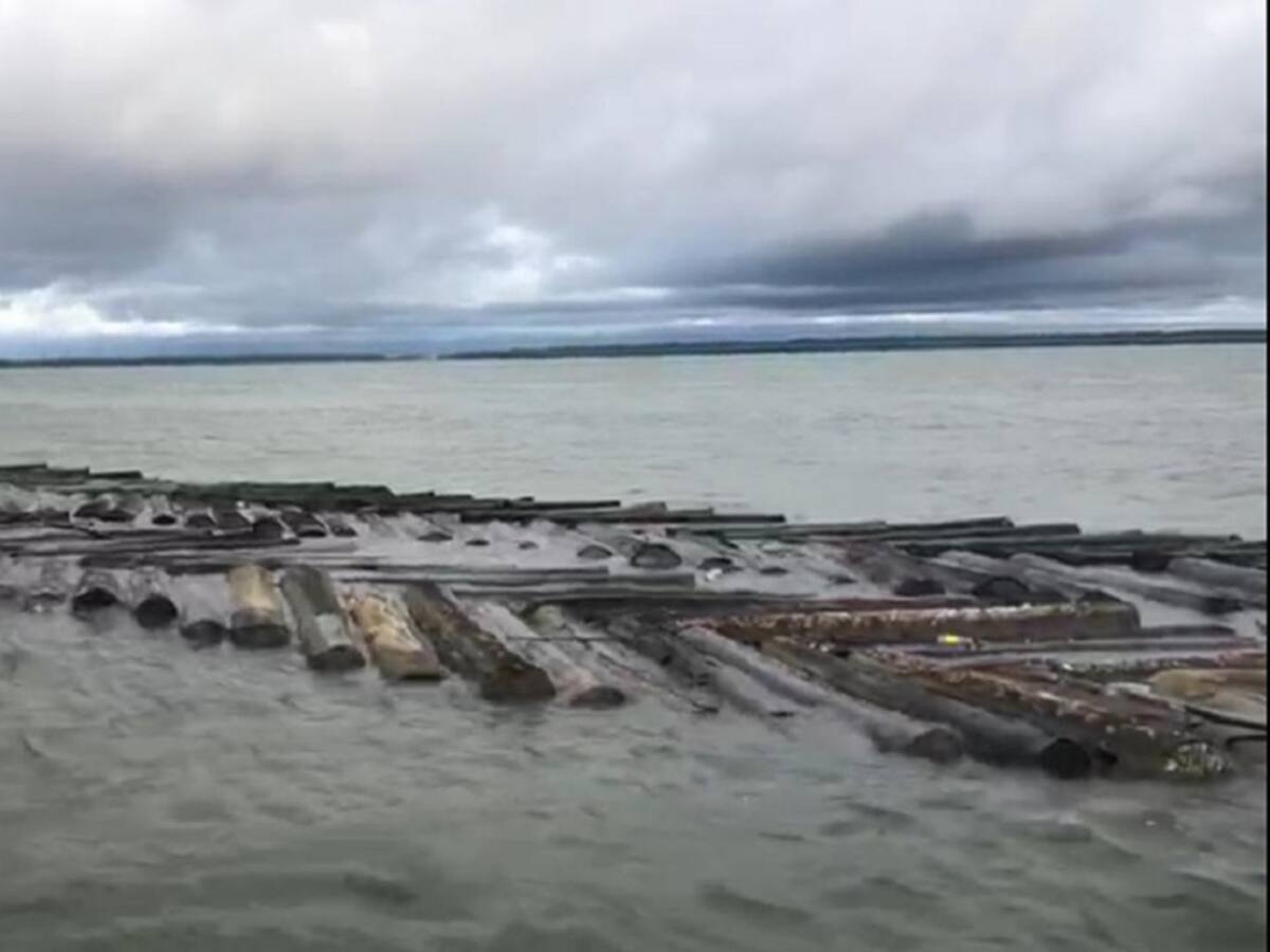 Golpe al tráfico ilegal de madera en Buenaventura