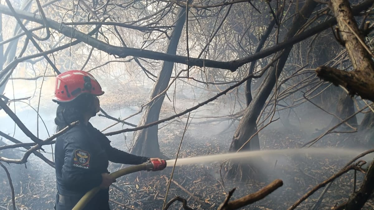Autoridades mantienen labores de control en Isla Salamanca por reactivación de incendio forestal