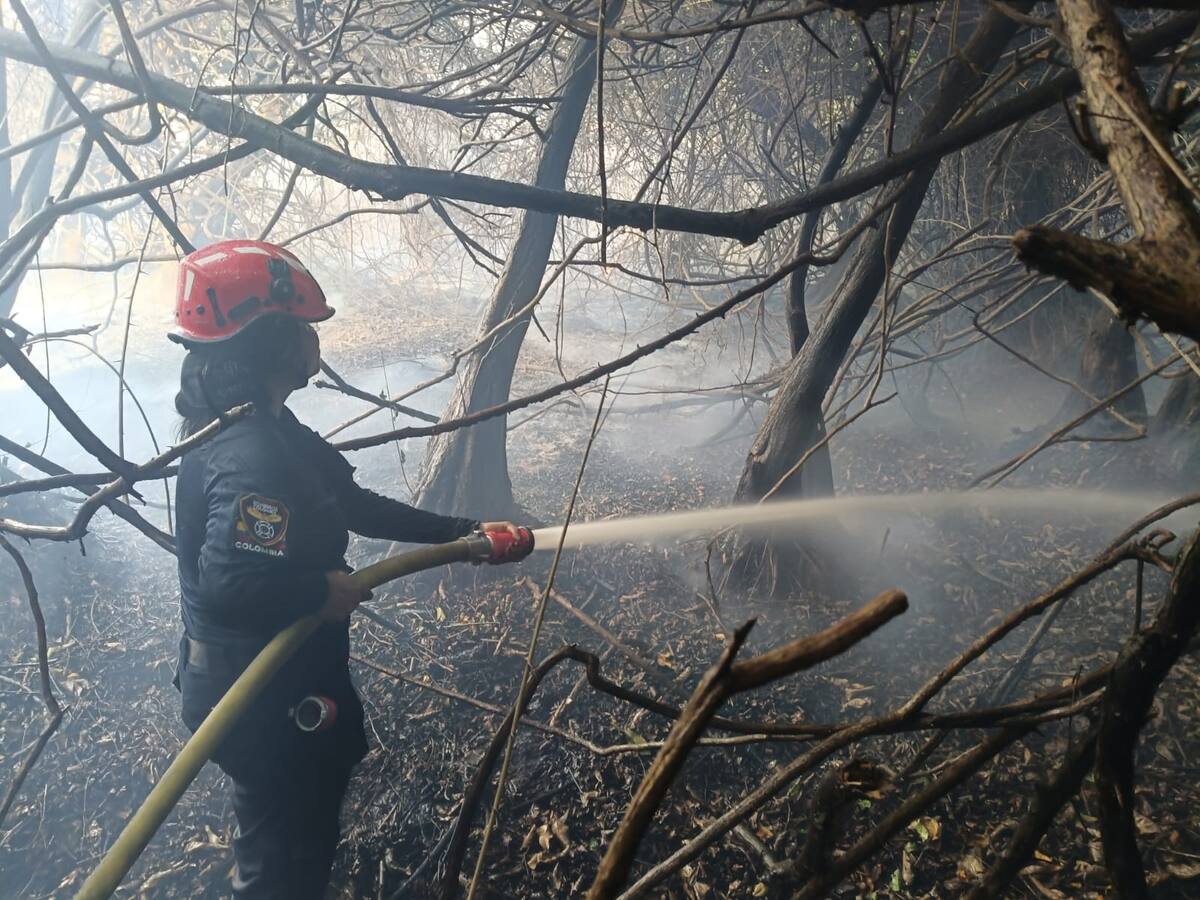 Autoridades mantienen labores de control en Isla Salamanca por reactivación de incendio forestal