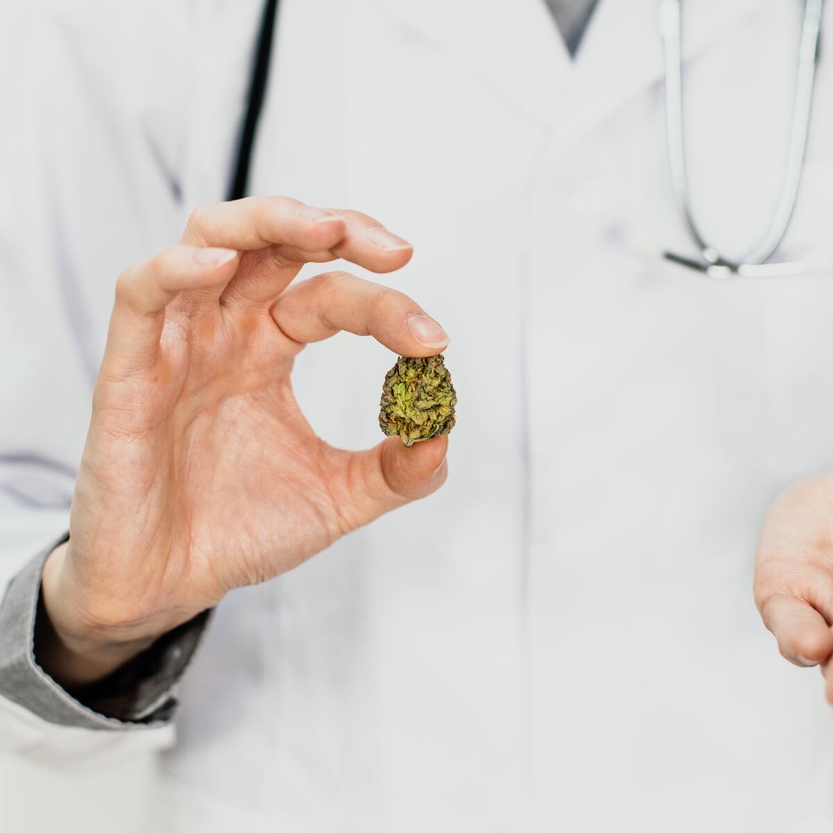 Colombia se convertirá en fuente de cannabis medicinal para el mundo: Clever Leaves