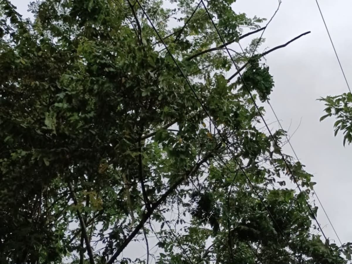 Lluvias generan afectaciones en el servicio de energía en varios sectores de Cartagena