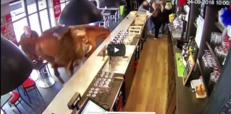 Video: Un caballo sin control desató terror en un restaurante