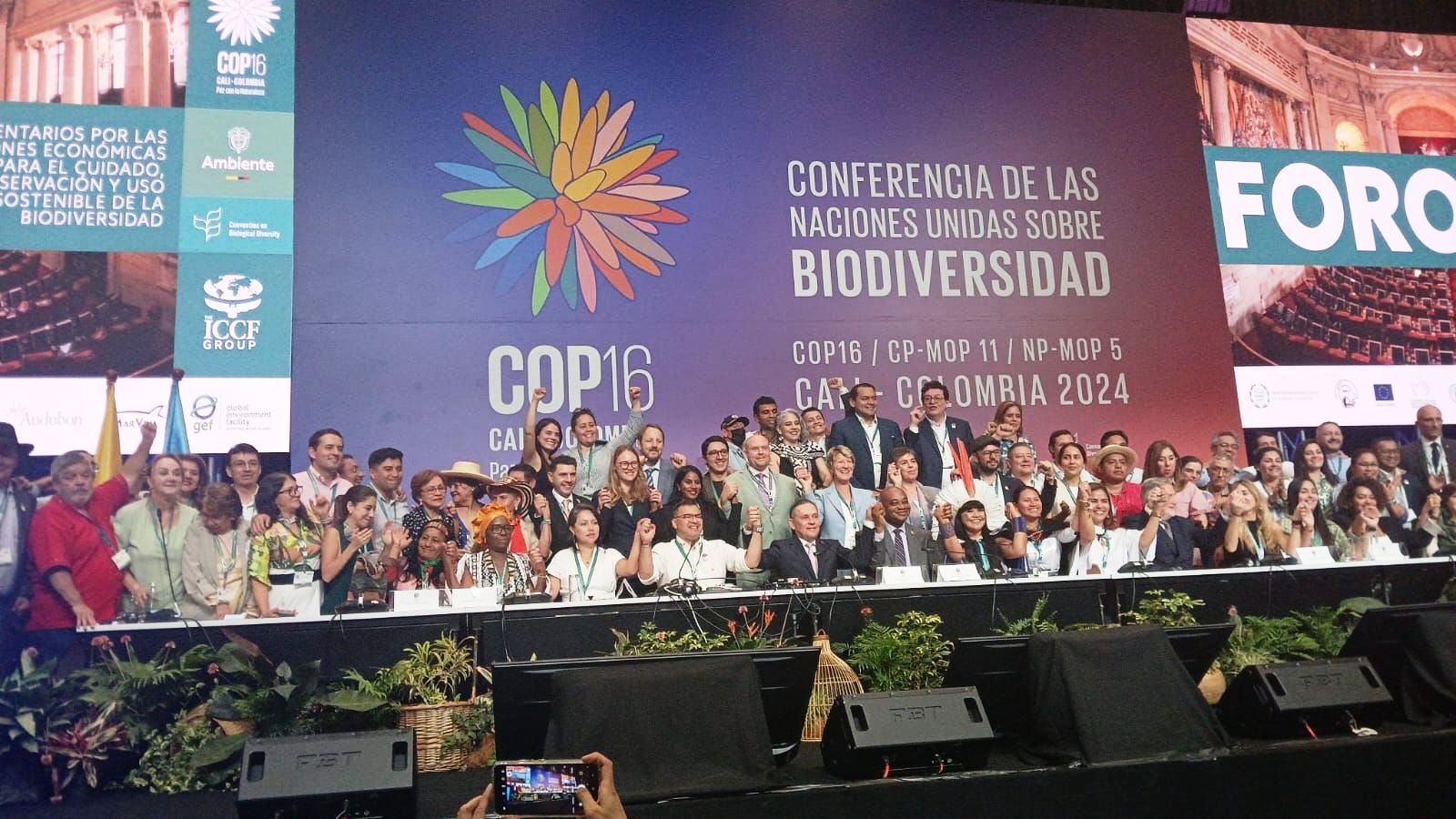 Los pueblos afrodescendientes, guardianes de la biodiversidad, demandan reconocimiento