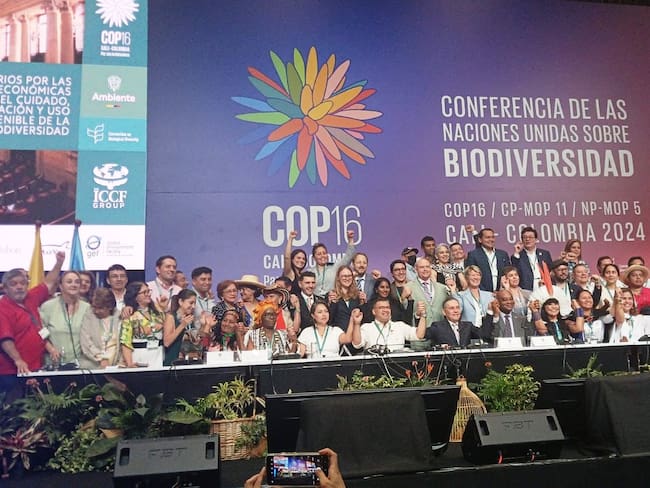 Los pueblos afrodescendientes, guardianes de la biodiversidad, demandan reconocimiento