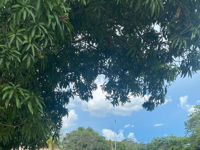 Cortesía- Bloqueos entre Caucasia y Tarazá