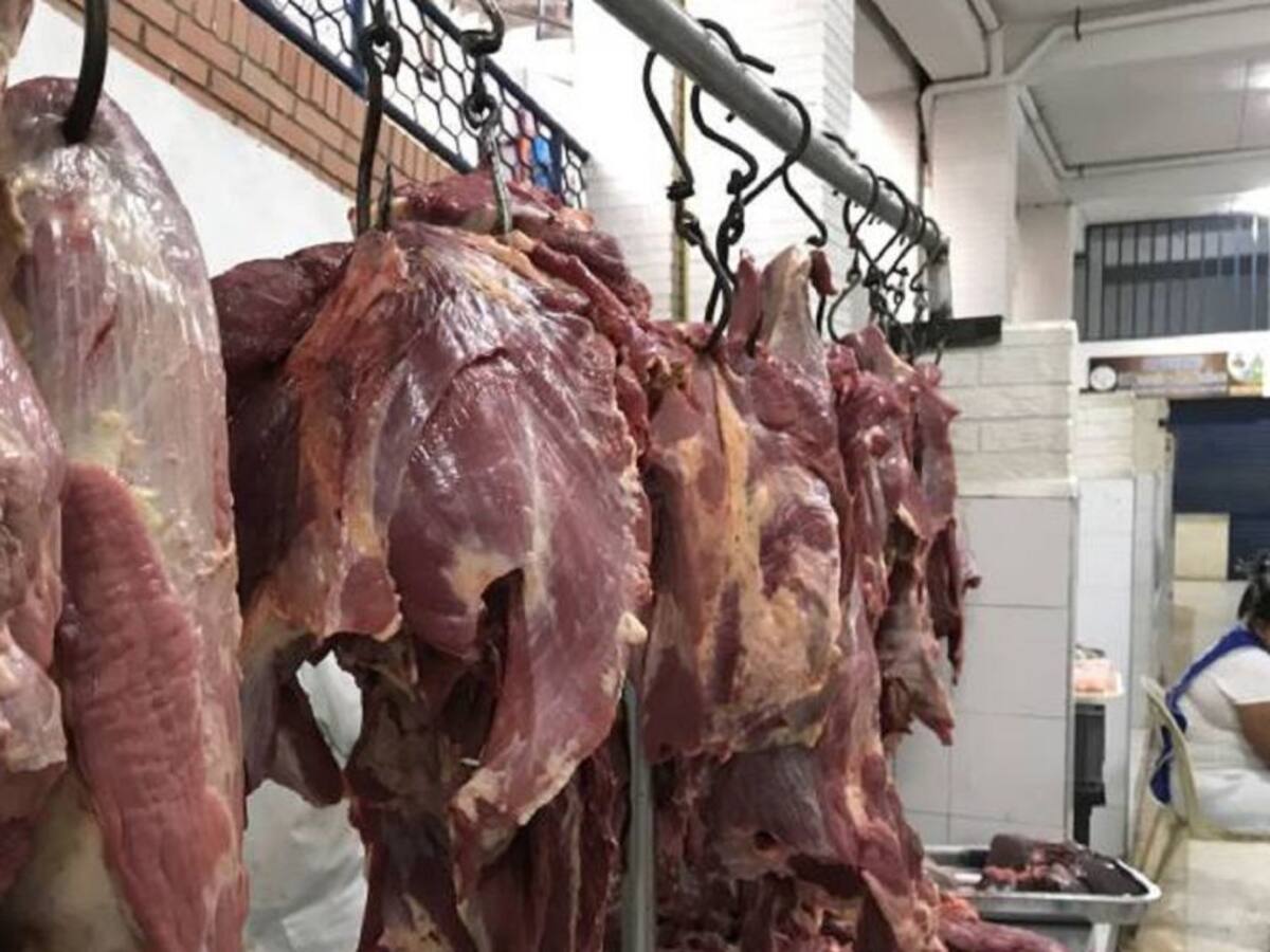 Mataderos del Valle denuncian masivas exportaciones de ganado a Irak