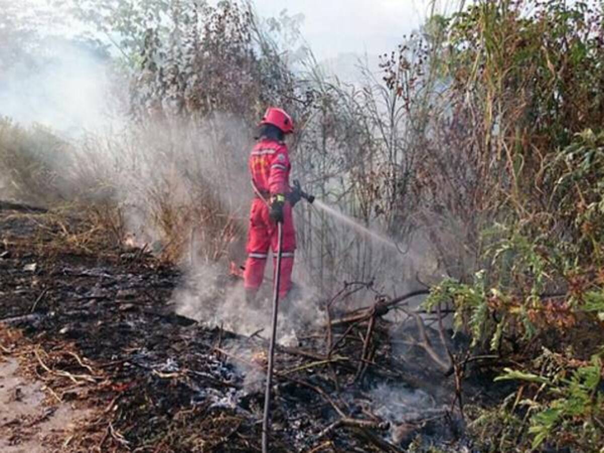 Incendio en Gachancipá y Guatavita está controlado en un 80 por ciento