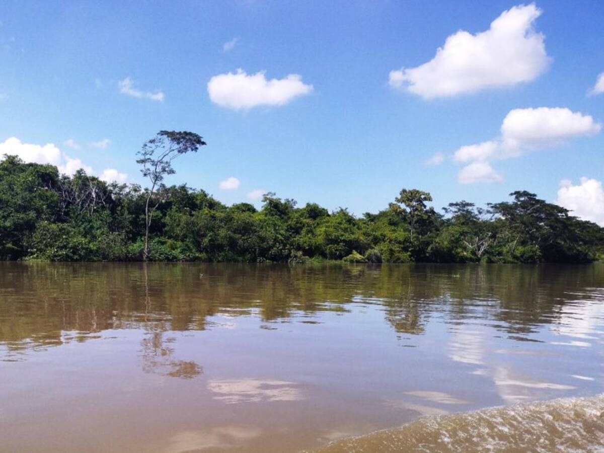 Advierten de más daños ambientales de no darse proyecto del Canal del Dique