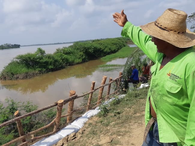 Arroceros de la Mojana temen que el río Cauca arrase sus cultivos