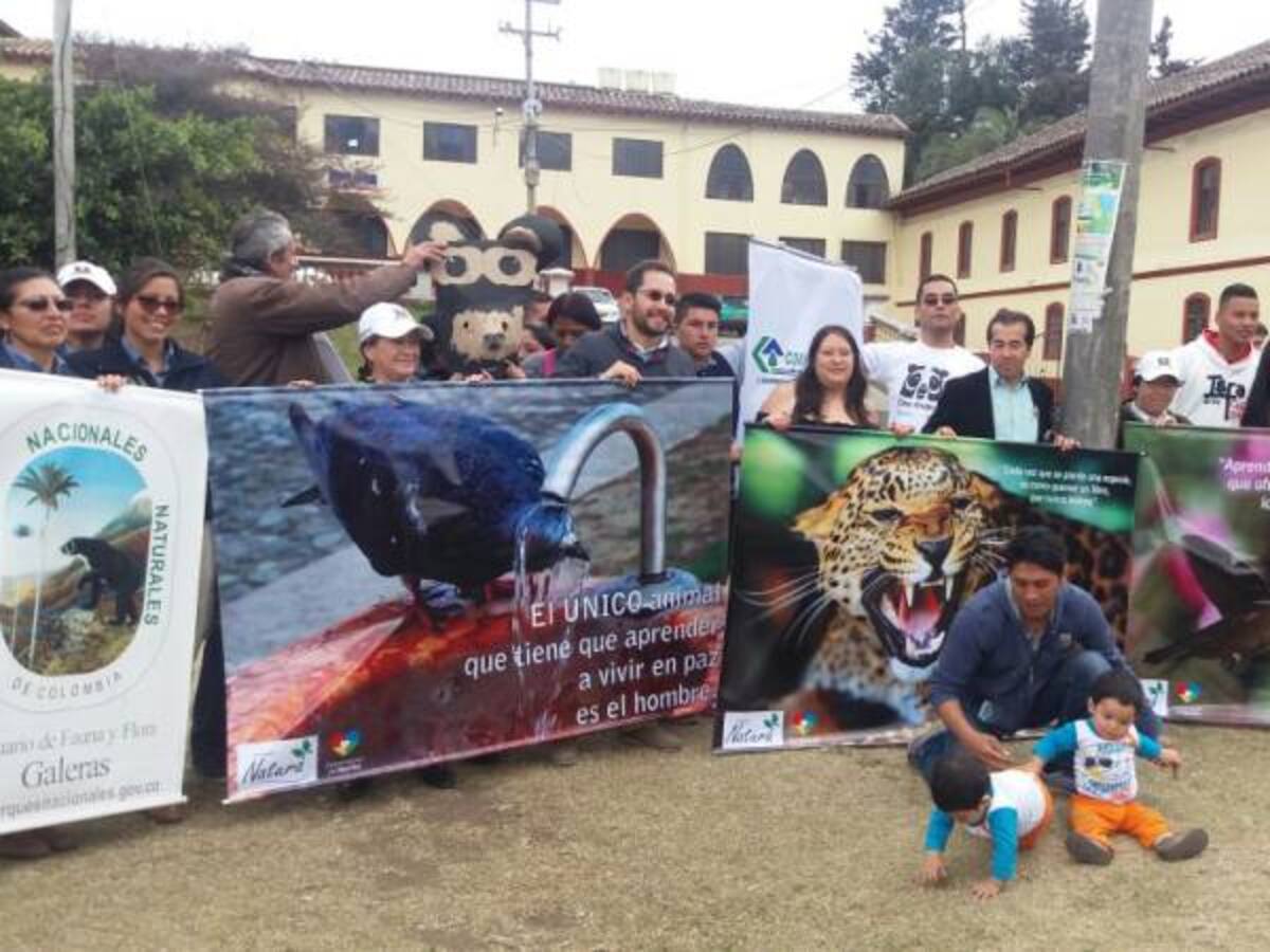 Plantón por muerte de oso de anteojos en Nariño