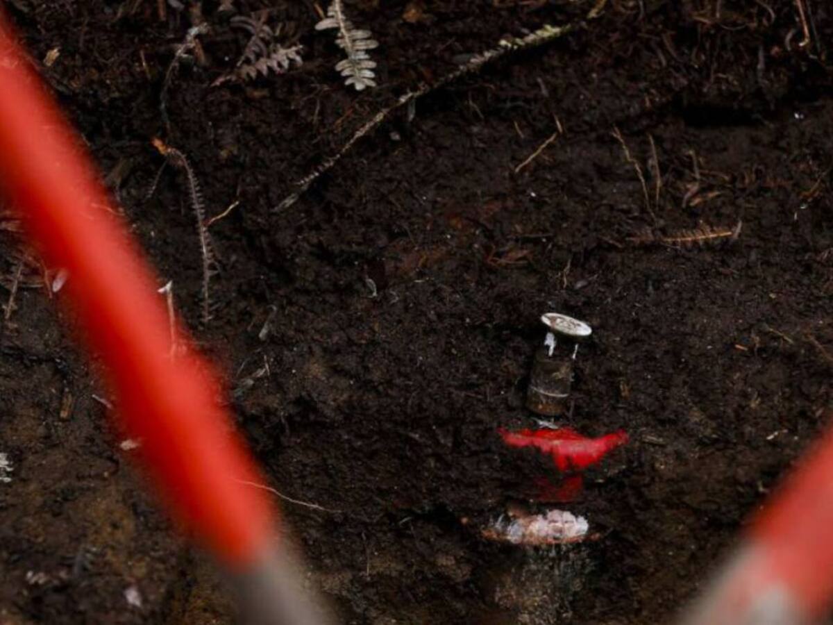 Indígena resultó herido tras caer en campo minado en Cáceres, Antioquia