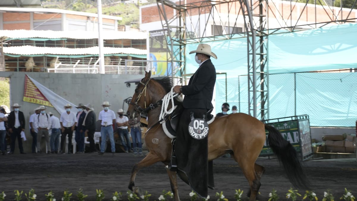 En Chipaque habrá muestra equina el 15 y 16 de octubre