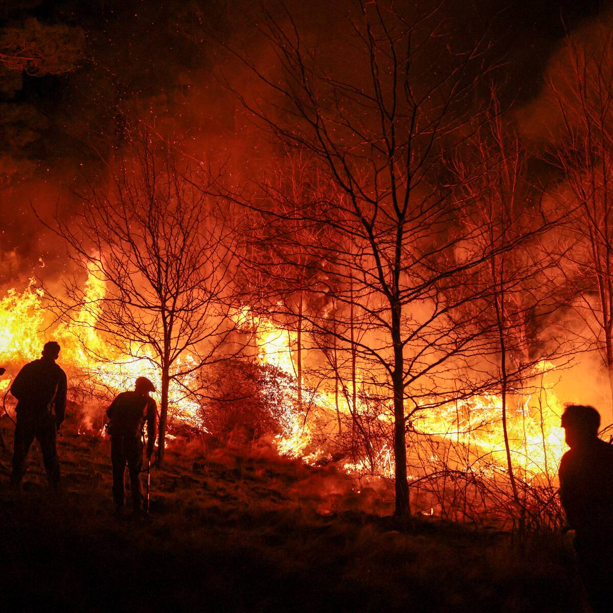 Cuba intenta controlar incendio forestal de grandes proporciones en el oeste de la isla