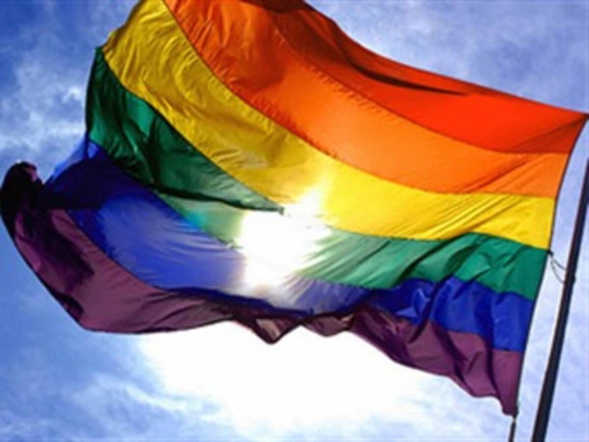 Proponen cambiar el nombre de ‘matrimonio’ a uniones gays para evitar que adopten hijos