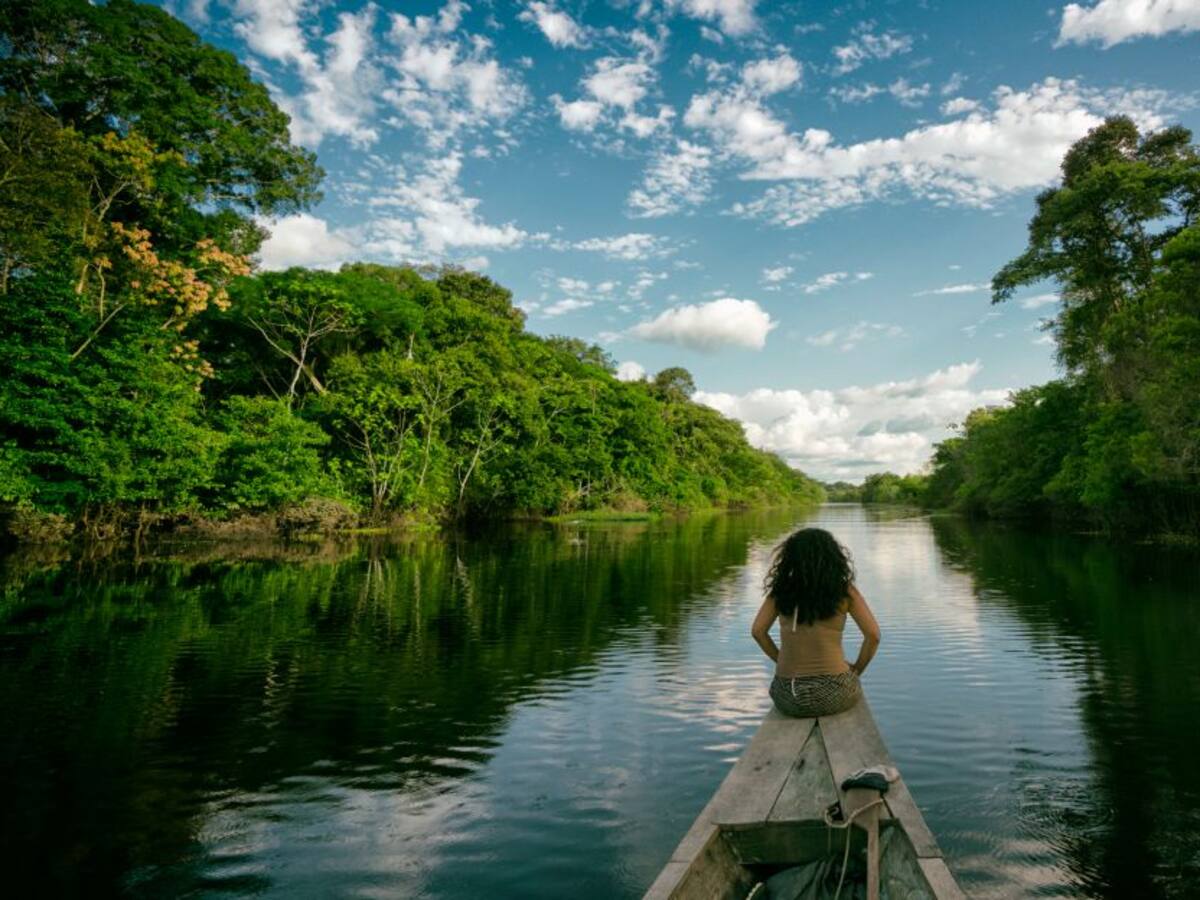 Somos parte de la selva