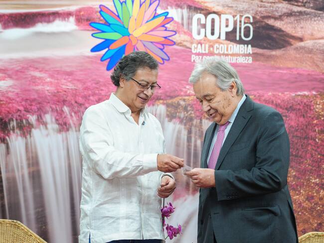 Petro y Guterres acordaron revisar metodología de oficina de ONU contra drogas