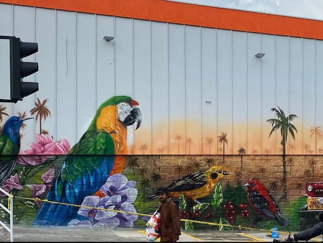 Hermoso mural en el norte de Armenia, sector Tienda Ara. Foto: Cortesía María Eugenia Beltran