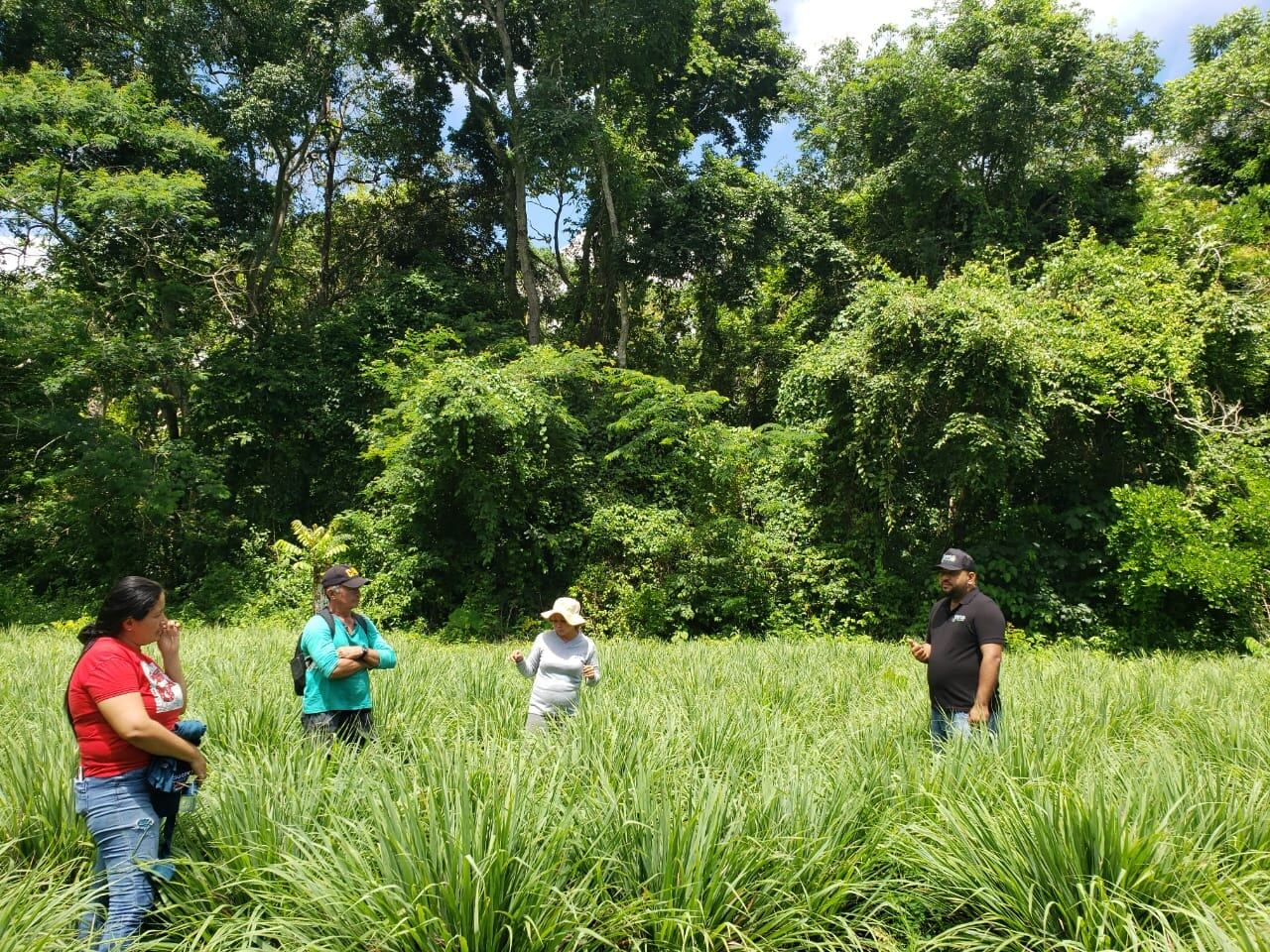 Víctimas de la violencia en Chalán, Sucre, tienen emprendimiento con especias. Foto: cortesía El Campo Emprende.