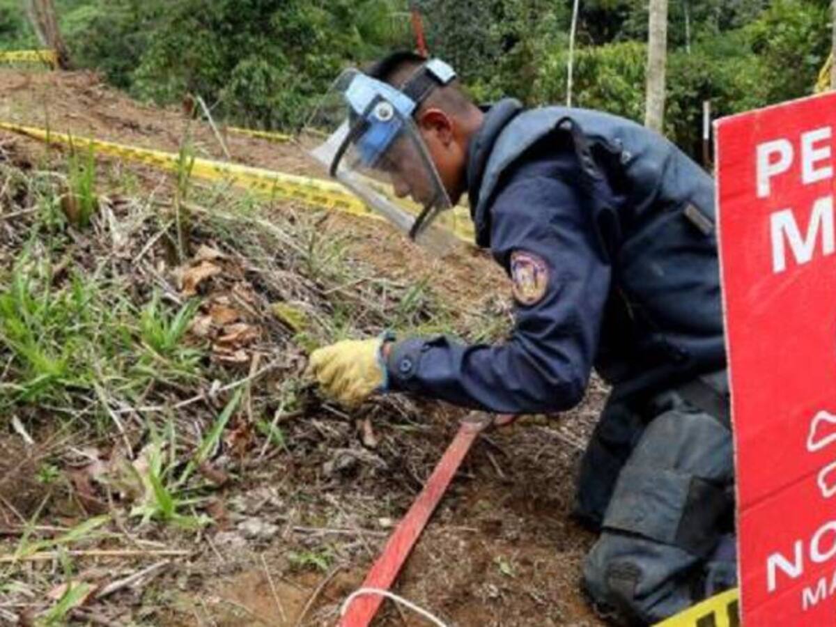 Arranca a funcionar la organización de desminado de las Farc