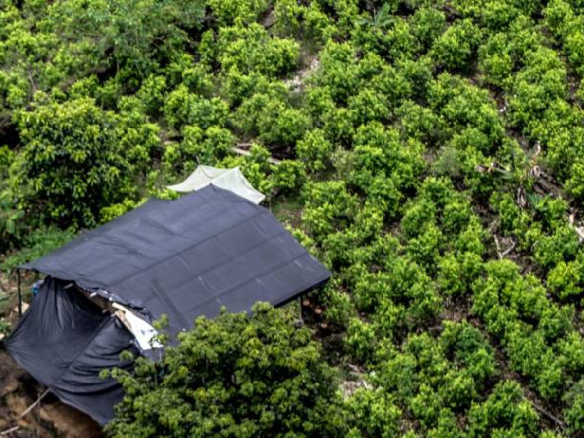 Denuncian amenazas contra más de 80 campesinos