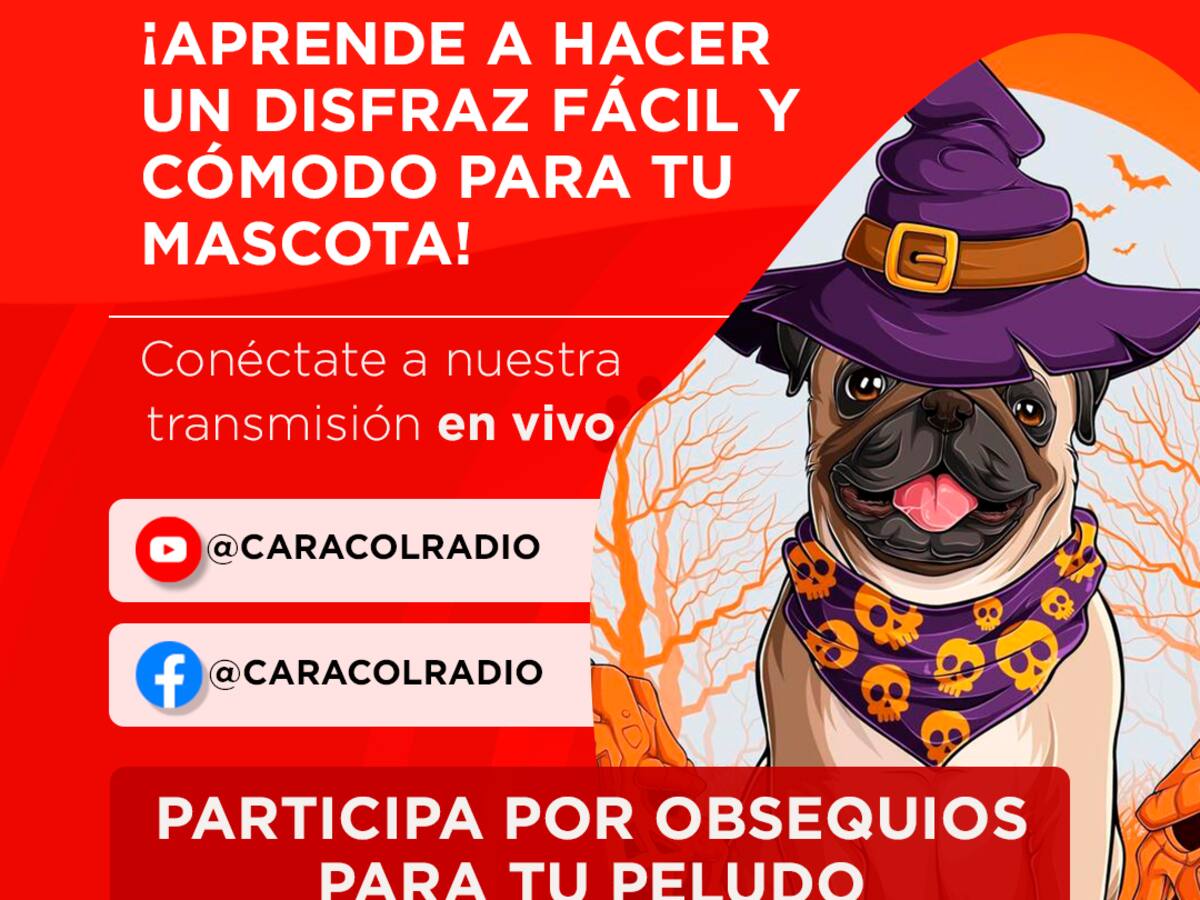 Cuidados para tus mascotas en Halloween
