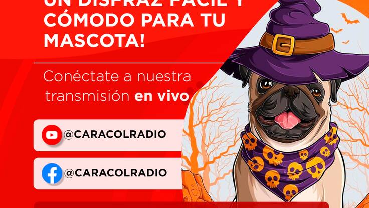 Mascotas Caracol 29 octubre