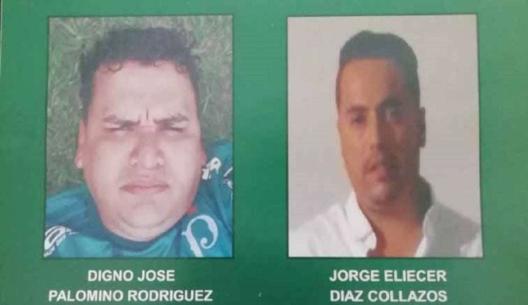 Imagen de referencia