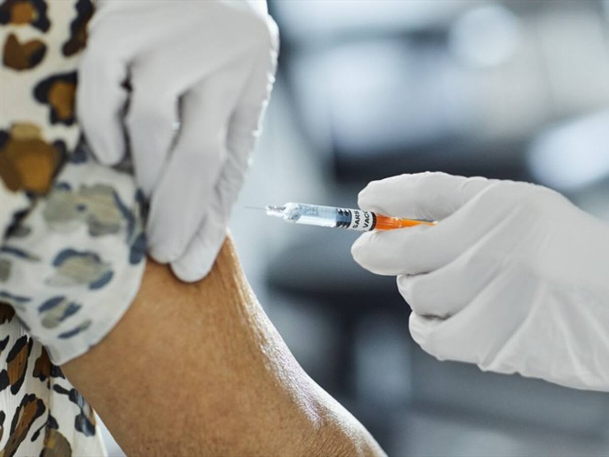 ABC: ¿Cómo consultar y descargar el carné de vacunación digital contra la fiebre amarilla?