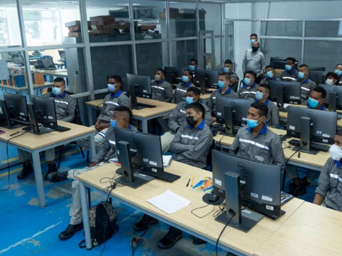 Afinia y sus aliados iniciaron formación de técnicos linieros
