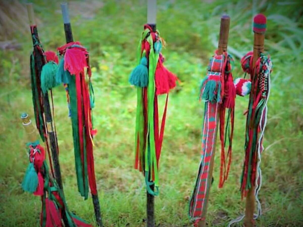 “No tenemos por qué hacer paros”- Comunidades campesinas en Cauca