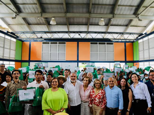 Cerca de 342 hectáreas ubicadas en la zona rural.