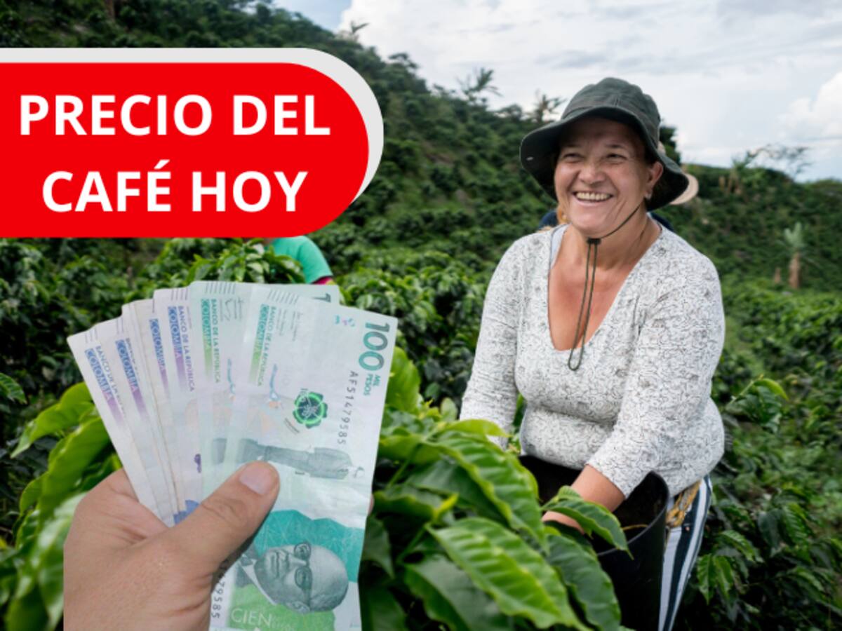 Precio del café para el día de HOY 18 de febrero: Según la Federación Nacional de Cafeteros