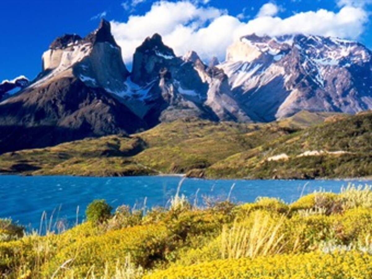 Chile aprobó un proyecto hidroeléctrico en Patagonia por 3.200 millones dólares