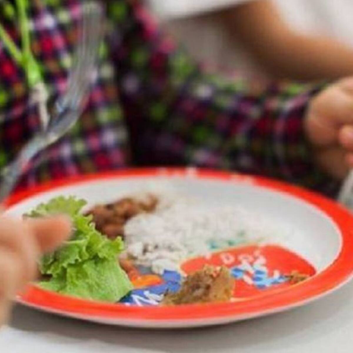 Sin PAE por contratista incumplido se quedaron niños de Pajarito en Boyacá