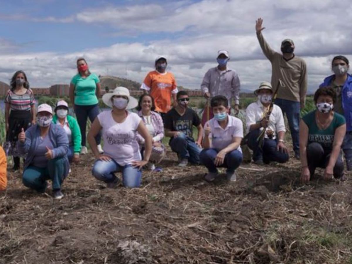 ¿Qué ha pasado con los desmovilizados y la reincorporación en Colombia?
