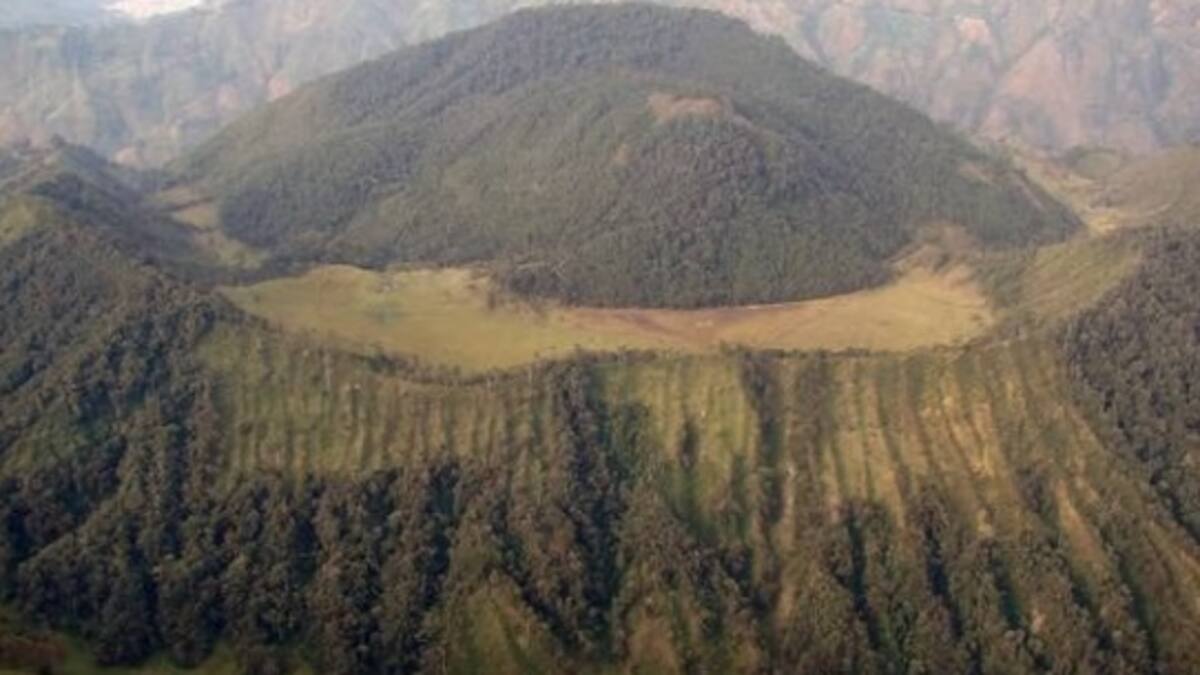 Director Omgerd, Javier Vélez