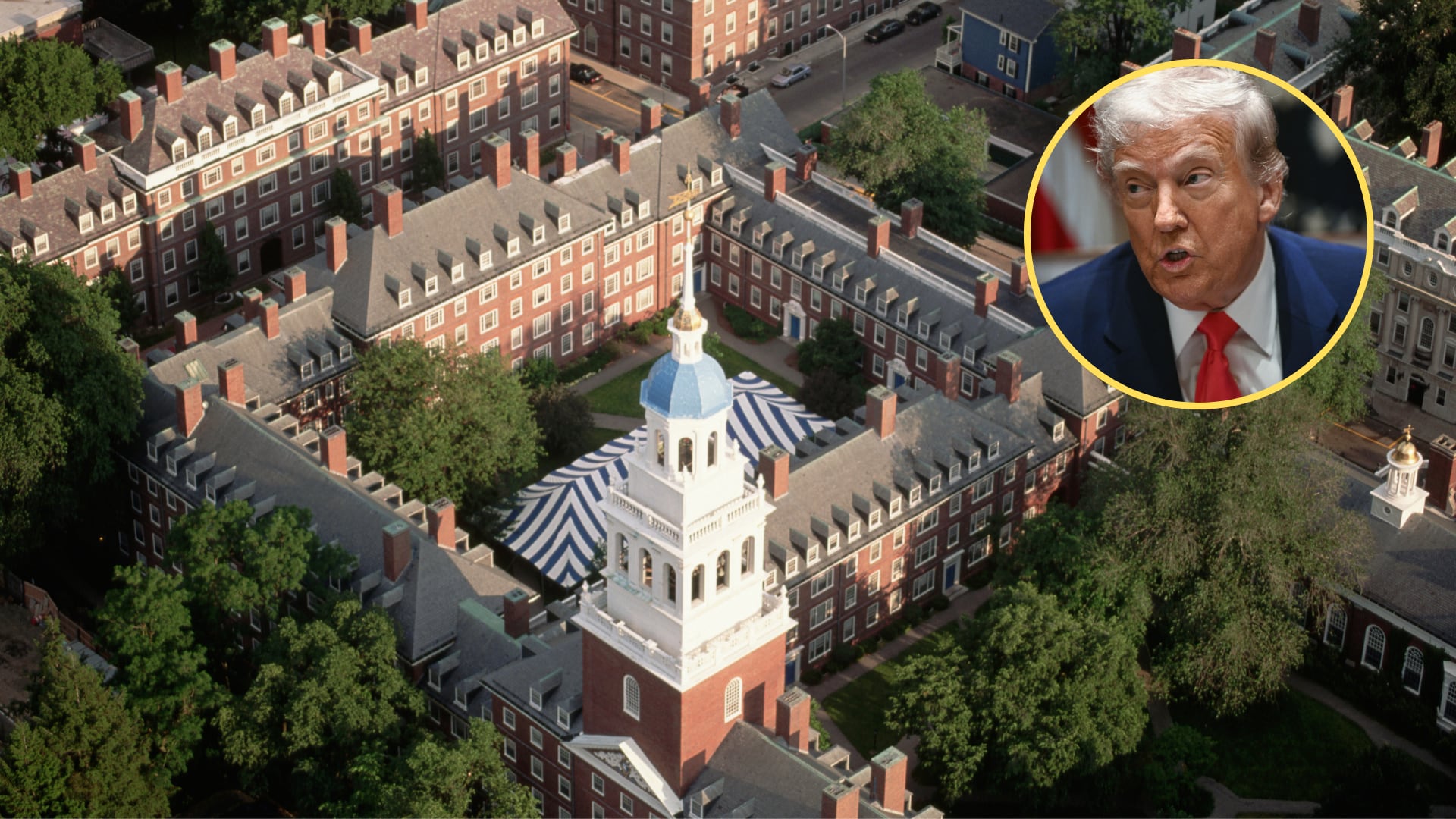 Universidad de Harvard - Donald Trump. Foto: BRENDAN SMIALOWSKI/AFP via Getty Images.