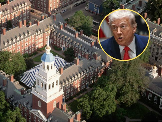 Universidad de Harvard - Donald Trump. Foto: BRENDAN SMIALOWSKI/AFP via Getty Images.