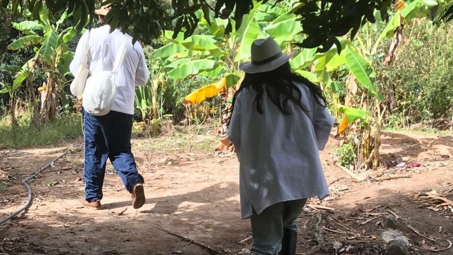 Grupo armado habría secuestrado a un indígena Kogui en la Sierra Nevada. Foto: referencia / Colprensa