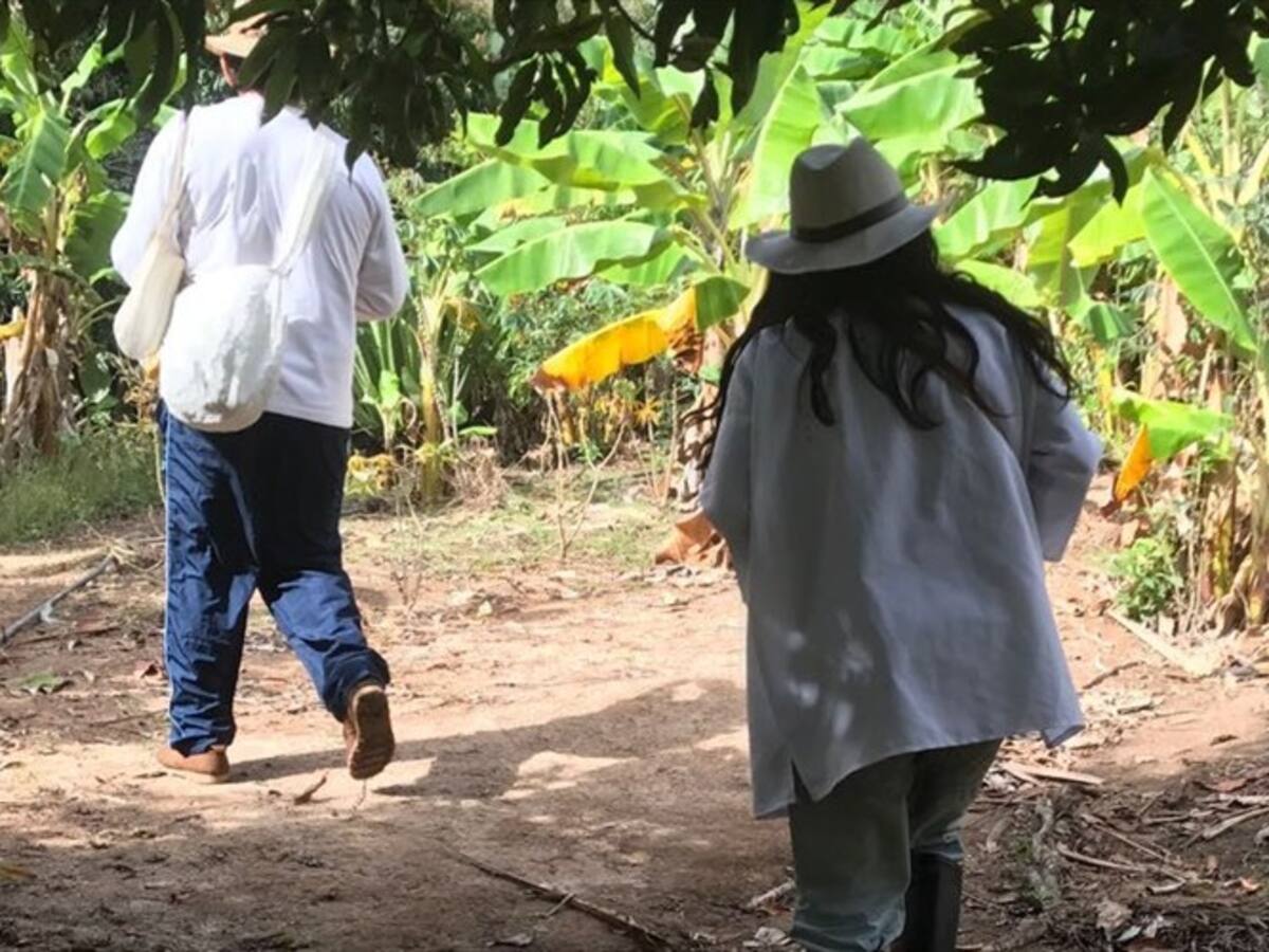 Denuncian presunto secuestro de indígena kogui en la Sierra Nevada, ¿quiénes lo plagiaron?