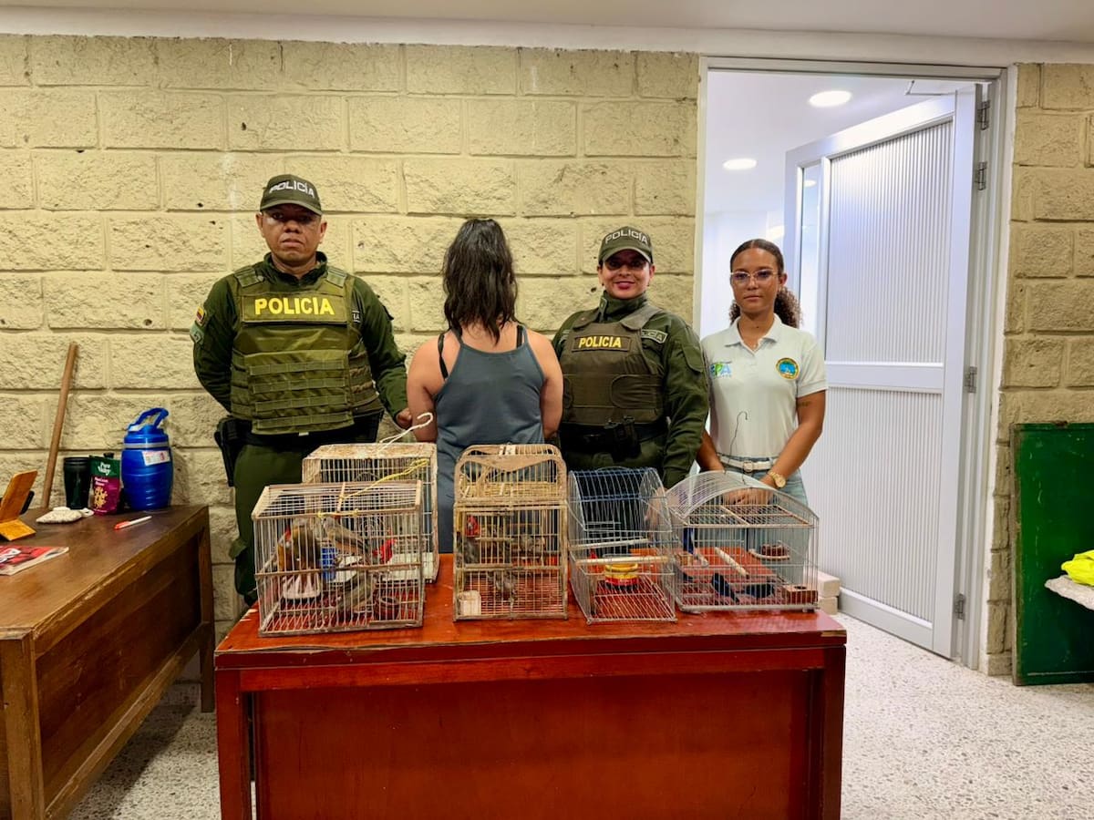 EPA Cartagena recibió 18 aves silvestres incautadas en el aeropuerto que iban a ser sacadas del país