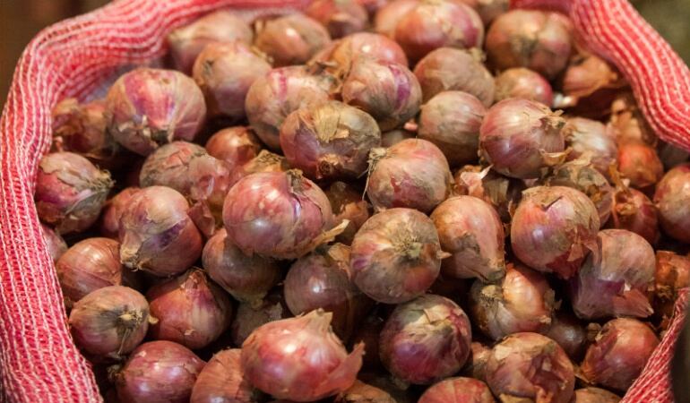 Productores de cebolla afectados