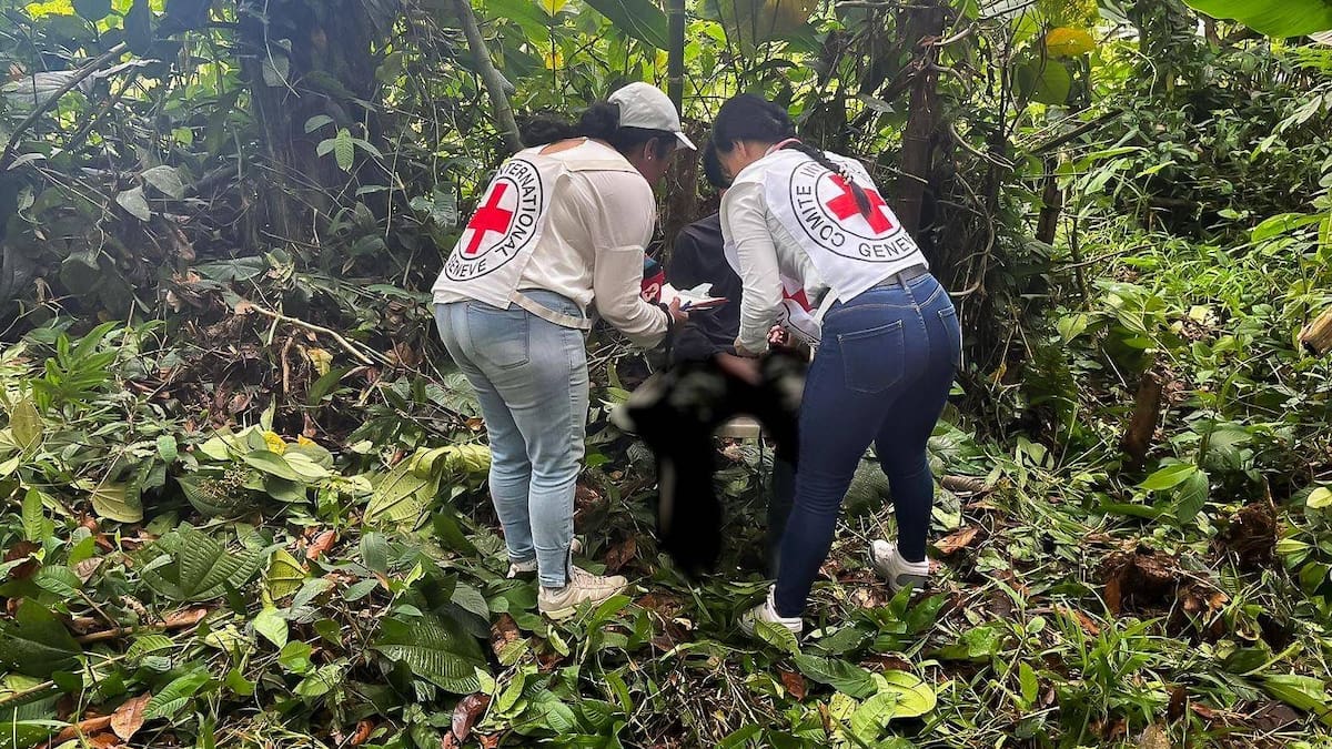 Ya son tres liberaciones las que facilita el Comité Internacional de la Cruz Roja en 2024