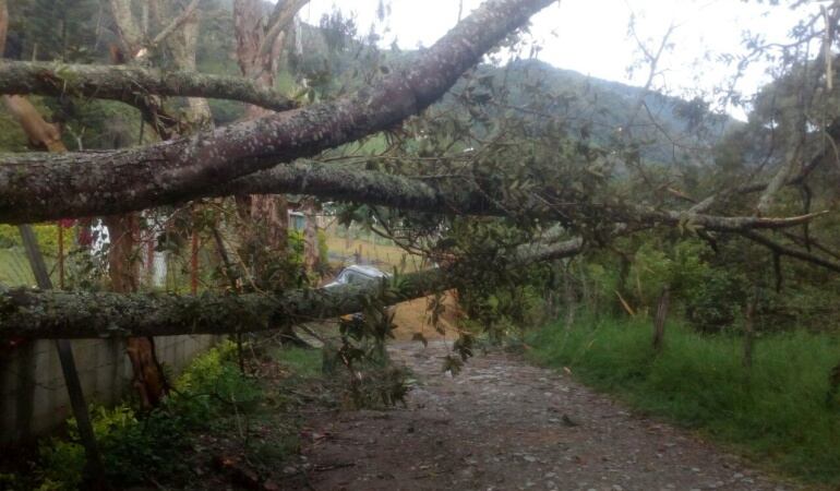 Emergencias por lluvias en Tolima/Imagen de Referencia