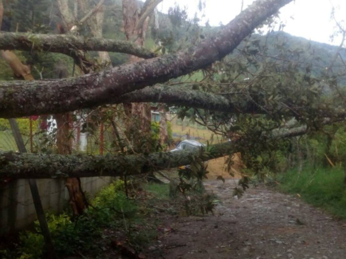Emergencias en Tolima por lluvias